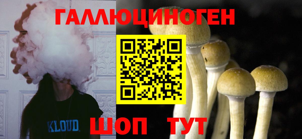 Галлюциногенные грибы ЛСД  Вход с VPN  Красноярск 